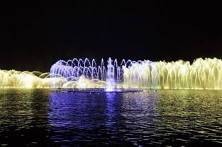 西湖音樂(lè)噴泉的介紹